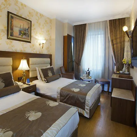 Grand Hilarium 4* Стамбул